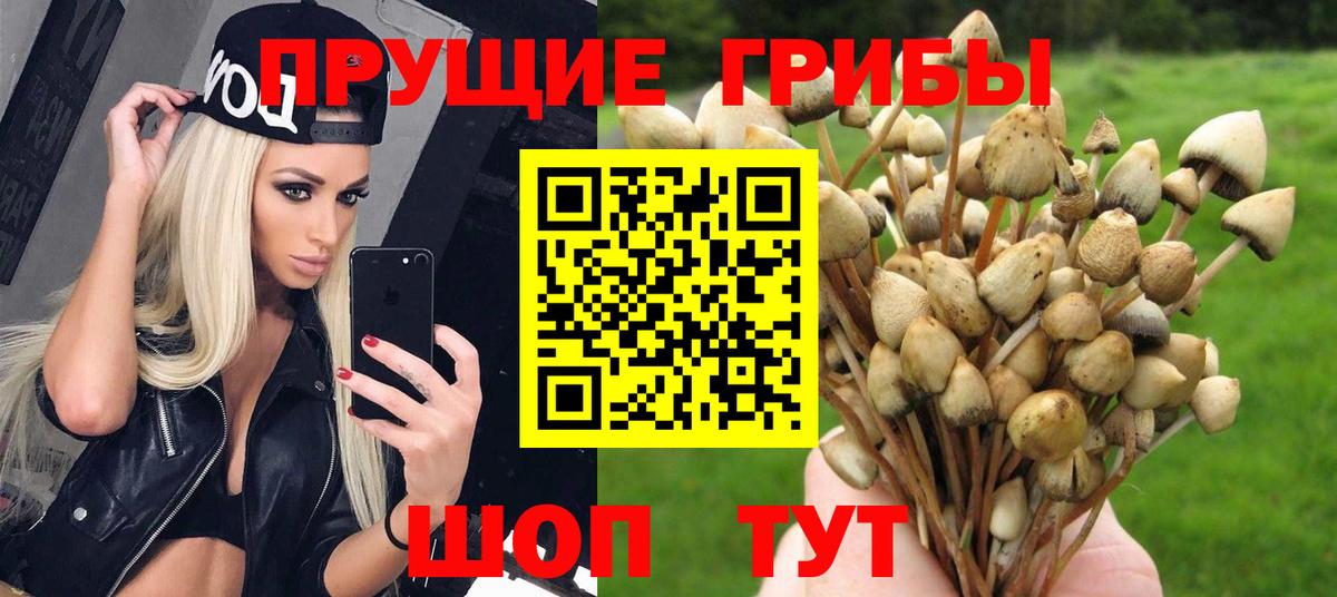 Галлюциногенные грибы мухоморы Люберцы