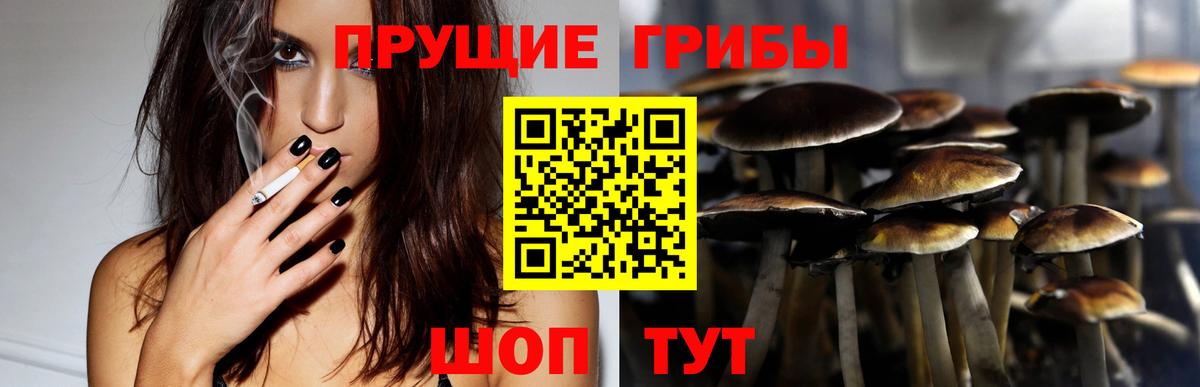 Псилоцибиновые грибы Psilocybine cubensis  Вход с VPN  Люберцы 